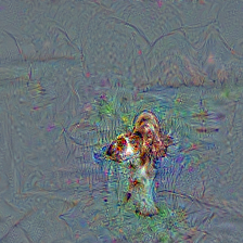 n02102040